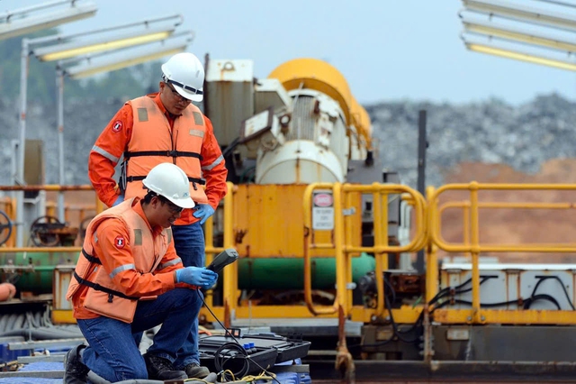 Núi Pháo tiên phong xanh hóa đất mỏ- Ảnh 3. Núi Pháo tiên phong xanh hóa đất mỏ- Ảnh 3.