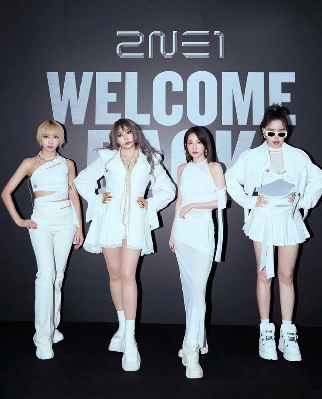 Park Bom tạm dừng mọi hoạt động cùng 2NE1 - Ảnh 1.