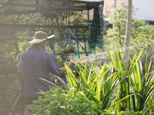 Bài học đầu tiên về tiết kiệm điện của cha từ thiên nhiên bình dị - Ảnh 4.