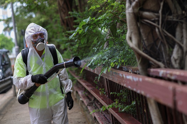 Bệnh chikungunya đang lây lan toàn cầu