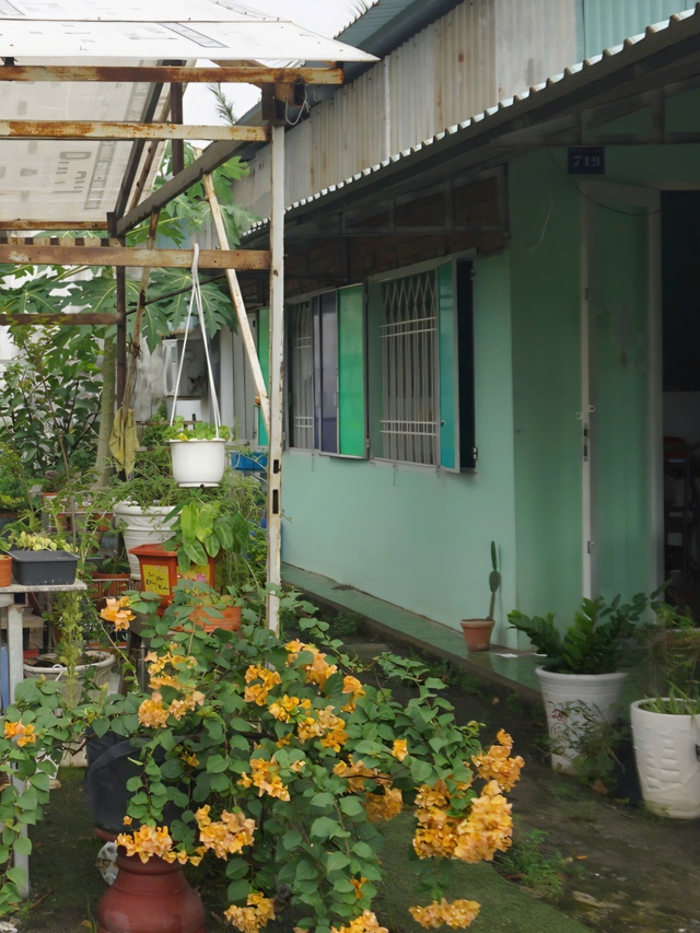 Bài học đầu tiên về tiết kiệm điện của cha từ thiên nhiên bình dị - Ảnh 1.