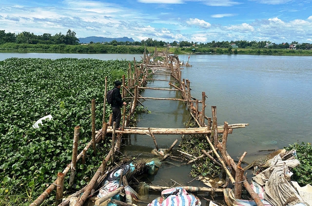 Đập ngăn mặn Vĩnh Điện: Tiền tỉ đổ vào nhưng vẫn phải tháo dỡ mỗi năm - Ảnh 2.
