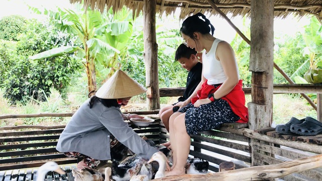 Độc đáo 'massage vịt' ở xứ cồn miền Tây- Ảnh 3. Độc đáo 'massage vịt' ở xứ cồn miền Tây- Ảnh 3.