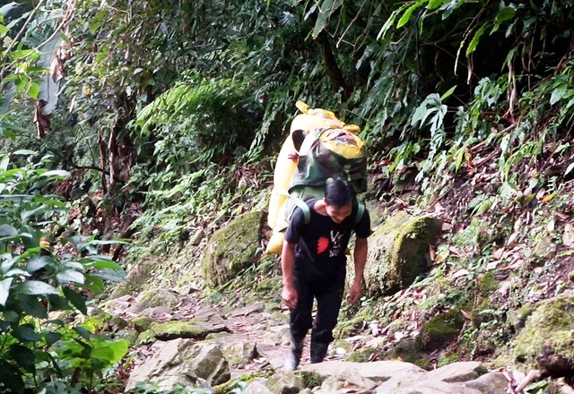 'Phu sâm' ở núi Ngọc Linh - Ảnh 2.