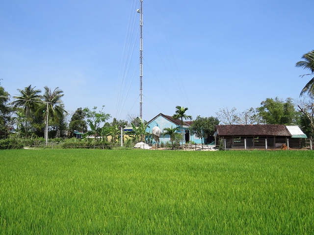 Tinh thần kiên cường của giới trẻ xóm kiên cường giữa chiến tranh và hòa bình - Ảnh 3. Tinh thần kiên cường của giới trẻ xóm kiên cường giữa chiến tranh và hòa bình - Ảnh 3.