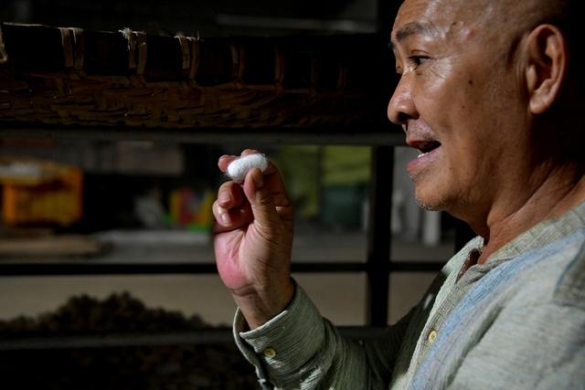 Tín hiệu vui từ xứ tơ tằm Bảo Lộc - Ảnh 3.