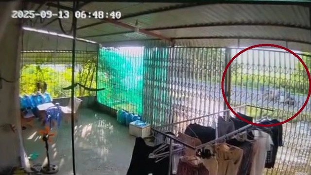 Vĩnh Long: Đi bộ qua đường, người phụ nữ gặp tai nạn tử vong - Ảnh 2.