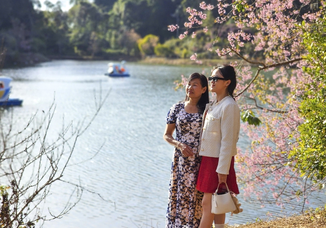 Vào mùa hoa anh đào nở, Măng Đen trở thành điểm đến yêu thích của nhiều du khách. Vào mùa hoa anh đào nở, Măng Đen trở thành điểm đến yêu thích của nhiều du khách.