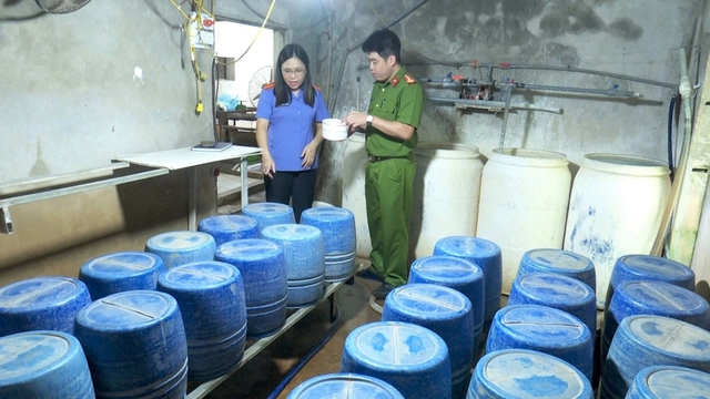 Khởi tố chủ cơ sở sản xuất giá đỗ bằng chất kích thích tăng trưởng - Ảnh 1.