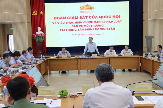 Quốc hội giám sát tại TTĐL Vĩnh Tân: Kiến nghị di dời hơn 400 hộ dân- Ảnh 3.