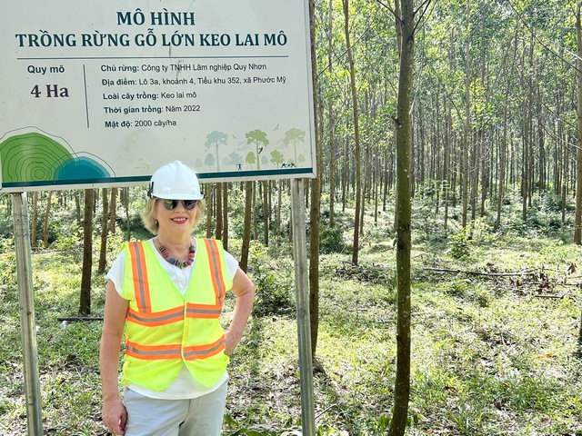 Hướng đến tương lai rừng gỗ lớn cho Việt Nam - Ảnh 3.