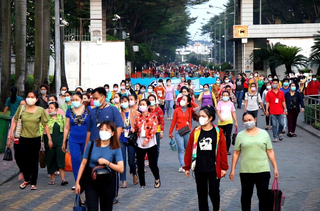 TP.HCM rà soát dữ liệu lao động: Người lao động cần làm gì để được hưởng lợi? - Ảnh 2.