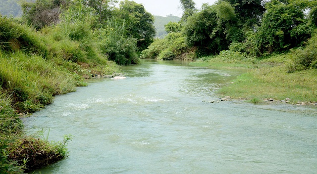 Xanh lại suối làng- Ảnh 3.