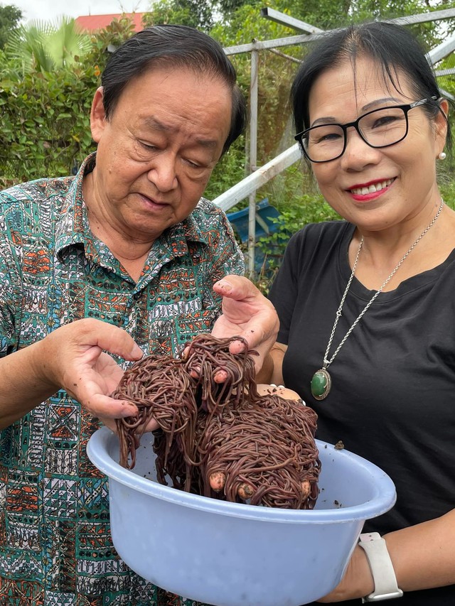 Nữ cựu chiến binh l&agrave;m gi&agrave;u từ giun quế - Ảnh 1.