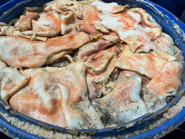  - Ảnh 2.