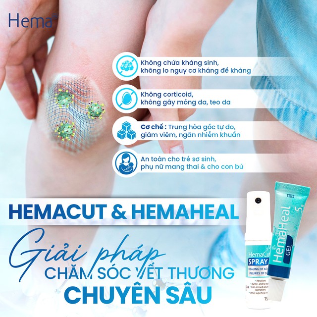 - Ảnh 8. - Ảnh 8.