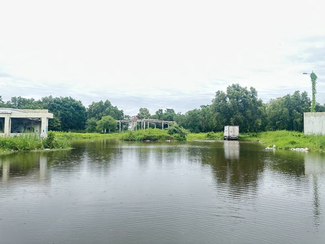 Hàng loạt khu đất công tại Cà Mau sau thu hồi nhiều năm vẫn bỏ trống- Ảnh 2. Hàng loạt khu đất công tại Cà Mau sau thu hồi nhiều năm vẫn bỏ trống- Ảnh 2.