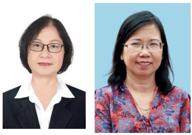 Việt Nam sắp có thêm bao nhiêu nữ giáo sư? - Ảnh 7.