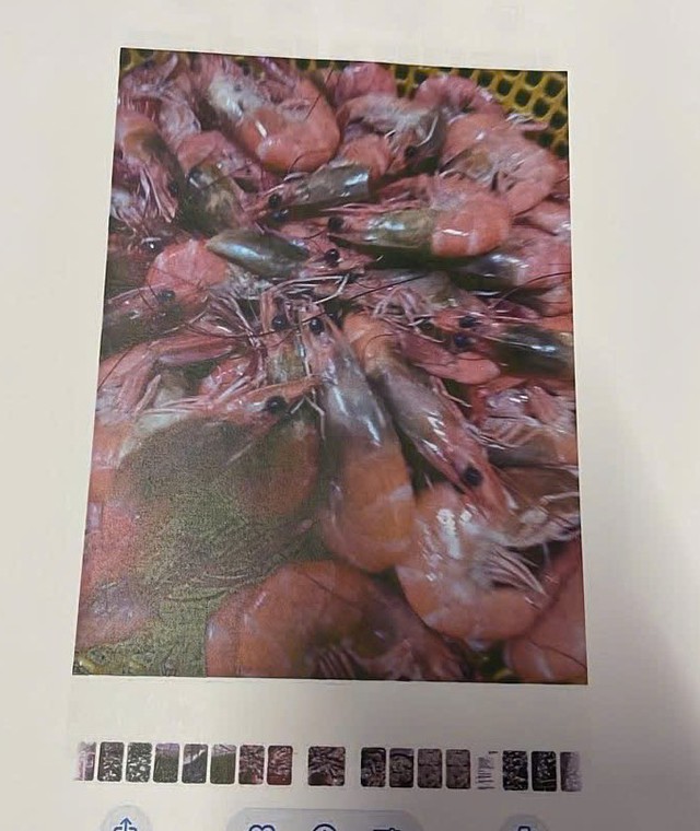 Hé lộ nhà cung cấp thực phẩm bếp bán trú Trường tiểu học Trưng Vương - Ảnh 4.