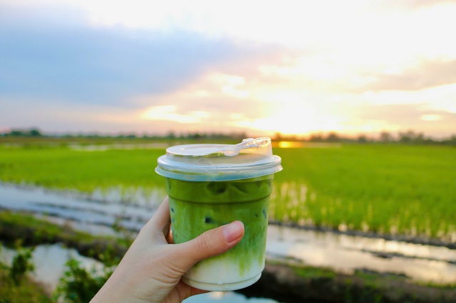 Rủ nhau ra giữa đồng lúa uống cà phê, ngắm hoàng hôn- Ảnh 5.