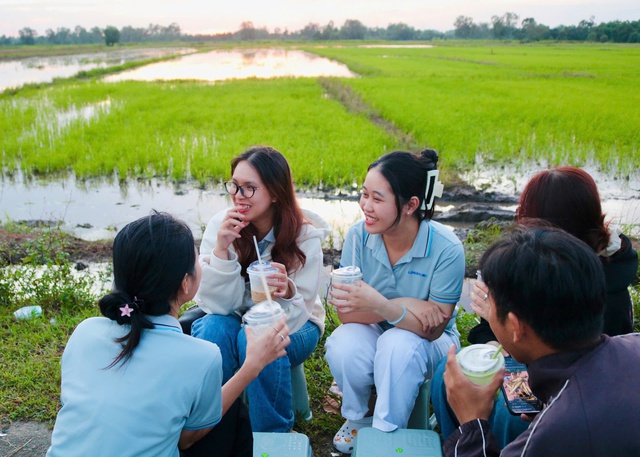 Rủ nhau ra giữa đồng lúa uống cà phê, ngắm hoàng hôn- Ảnh 1. Rủ nhau ra giữa đồng lúa uống cà phê, ngắm hoàng hôn- Ảnh 1.