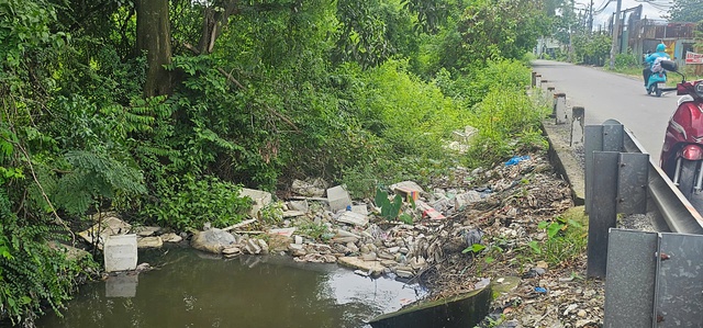 Mưa lớn gây ngập hàng ngàn mét vuông rau màu ở TP.HCM, nông dân thiệt hại nặng- Ảnh 4. Mưa lớn gây ngập hàng ngàn mét vuông rau màu ở TP.HCM, nông dân thiệt hại nặng- Ảnh 4.