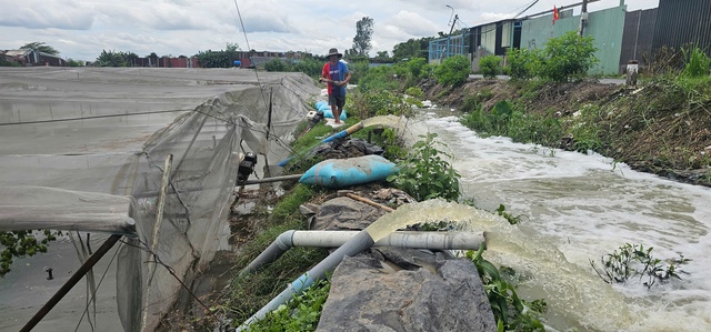 Mưa lớn gây ngập hàng ngàn mét vuông rau màu ở TP.HCM, nông dân thiệt hại nặng- Ảnh 2. Mưa lớn gây ngập hàng ngàn mét vuông rau màu ở TP.HCM, nông dân thiệt hại nặng- Ảnh 2.