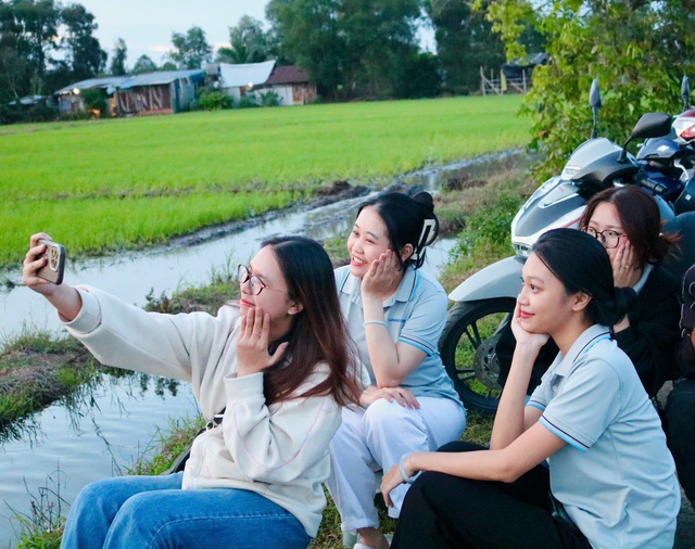 Rủ nhau ra giữa đồng lúa uống cà phê, ngắm hoàng hôn- Ảnh 4.