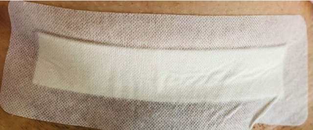 - Ảnh 5. - Ảnh 5.