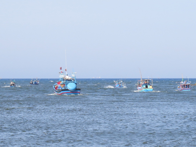 Tâm tình của biển: Chừa cá nhỏ cho ngày sau - Ảnh 1.