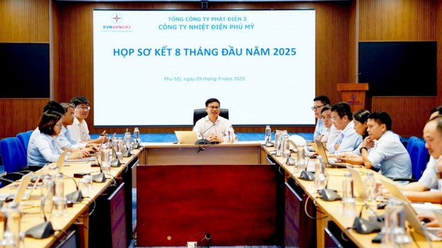 Ph&uacute; Mỹ nỗ lực sản xuất, bảo đảm cung ứng điện c&aacute;c th&aacute;ng cuối năm 2025- Ảnh 4.