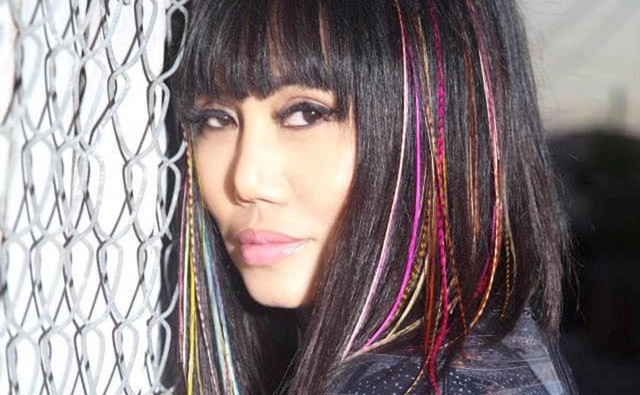 Lynda Trang Đài làm lao động công ích để được miễn tội trộm cắp? - Ảnh 1.