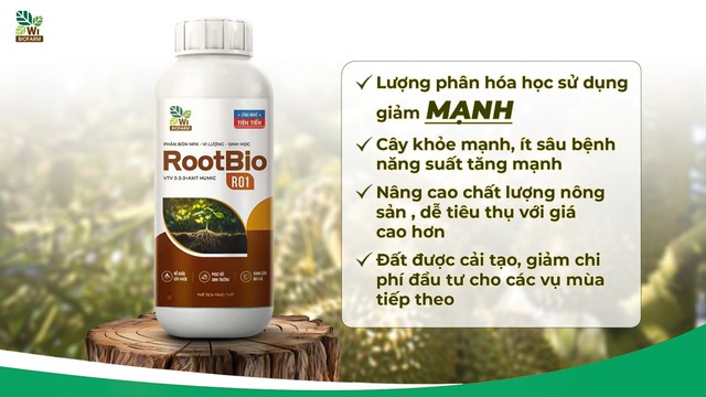 Tối ưu chi phí phân bón, tăng lợi nhuận…