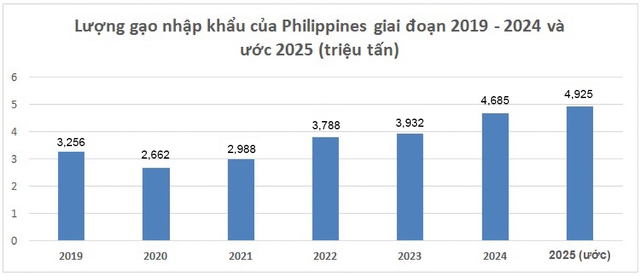 Philippines muốn kéo dài lệnh cấm nhập khẩu, gạo Việt thế nào?- Ảnh 3.