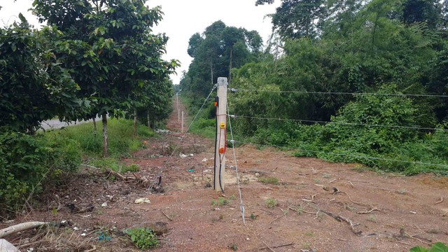 Bảo tồn voi rừng Đồng Nai: Đấu tr&iacute; với h&agrave;ng r&agrave;o điện để bảo vệ thi&ecirc;n nhi&ecirc;n - Ảnh 4.