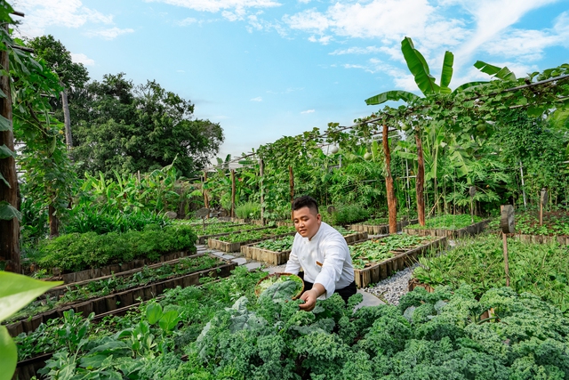 An Lâm Retreats Saigon River và hành trình 15 năm vun đắp những vòng tròn bền vững - Ảnh 3.