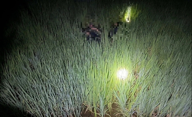 Lão nông 79 tuổi bị khởi tố v…