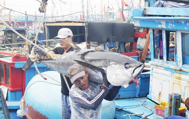 Quyết tâm gỡ thẻ vàng IUU trong năm nay- Ảnh 1.
