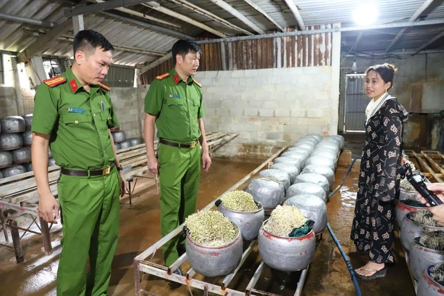 Phát hiện cơ sở dùng chất cấm sản xuất giá đỗ với số lượng lớn - Ảnh 1.
