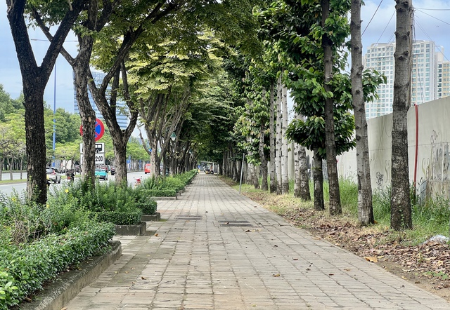 TP.HCM mở làn riêng cho xe đạp: Người đạp xe mỗi ngày nói gì? - Ảnh 3.