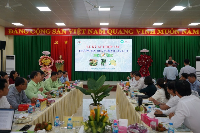 Xoài cát mới từ giống xoài Mỹ và Hòa Lộc chuẩn bị đưa ra thị trường- Ảnh 1.