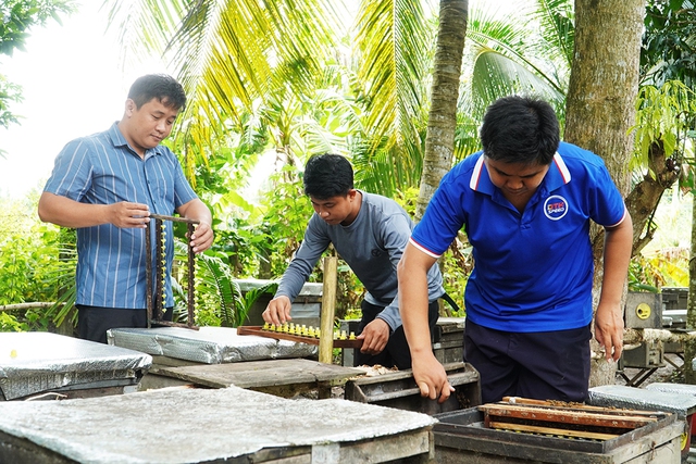 Nuôi ong mật theo h…
