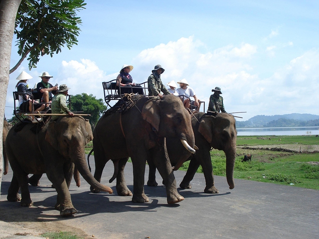 Cấp thiết bảo tồn voi: Buôn làng vắng bóng voi- Ảnh 2. Cấp thiết bảo tồn voi: Buôn làng vắng bóng voi- Ảnh 2.