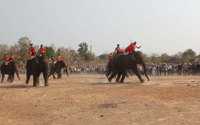 Cấp thiết bảo tồn voi: Buôn làng vắng bóng voi- Ảnh 4. Cấp thiết bảo tồn voi: Buôn làng vắng bóng voi- Ảnh 4.