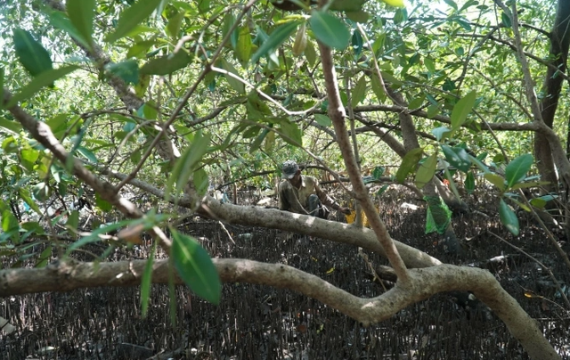 Dự án công viên Hùng Vương - Phan Thiết từng 'dậy sóng' dư luận giờ ra sao?- Ảnh 4. Dự án công viên Hùng Vương - Phan Thiết từng 'dậy sóng' dư luận giờ ra sao?- Ảnh 4.