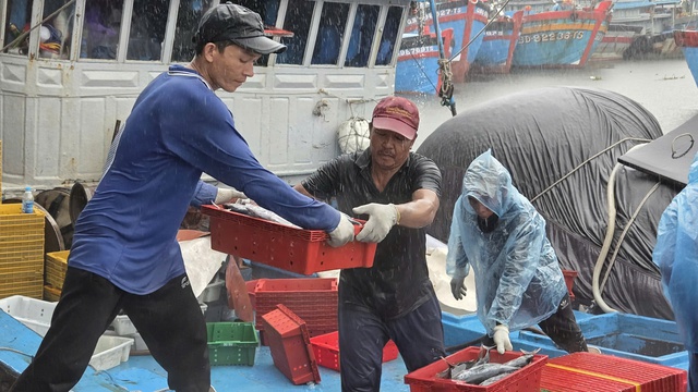 Quảng Ngãi: Ngư dân hối hả vào bờ bán cá trước khi bão số 10 đổ bộ - Ảnh 2.