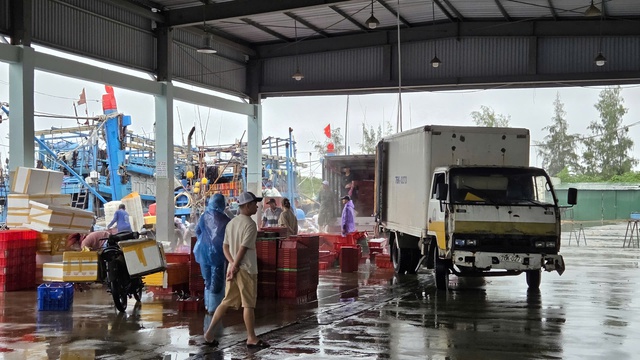 Ngư dân Quảng Ngãi hối hả vào bờ bán cá…