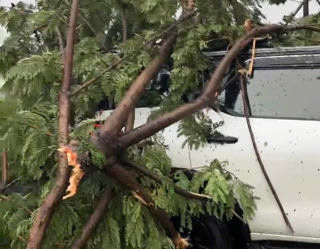 Chịu ảnh hưởng của b&atilde;o số 10, người d&acirc;n t&igrave;m mọi c&aacute;ch bảo vệ &ocirc; t&ocirc; - Ảnh 3.