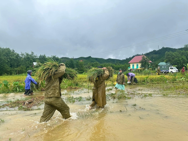 Bão số 10: Công an 'chạy đua'…
