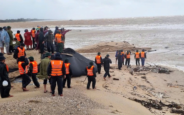 NÓNG: Đang cứu nạn 2 tàu cá (11 thuyền viên) trên đường vào trú bão số 10- Ảnh 2.